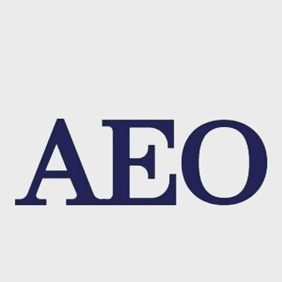 American Eagle Outfitters Men's Long Sleeve Button-Down Gray Cotton Shirt - Picture 14 of 14